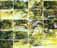 Albero-puzzle